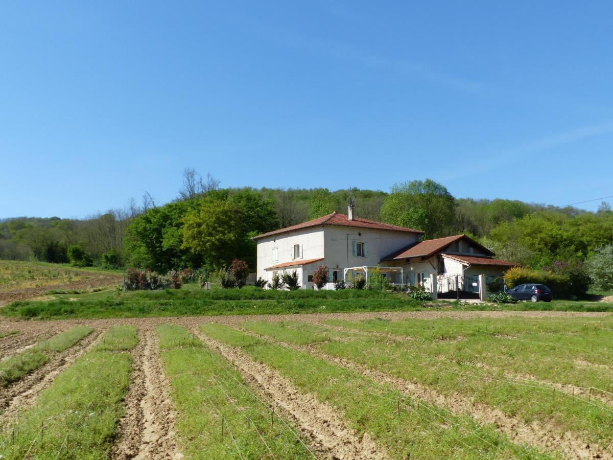Chambre D'Hotes - Le Safran Du Val D'Or Anneyron Exterior photo